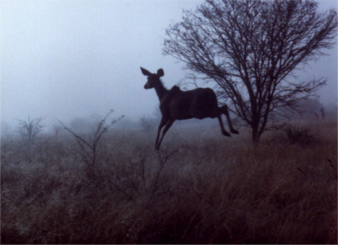 Glengarry Game Lodge Directions & Contact Info