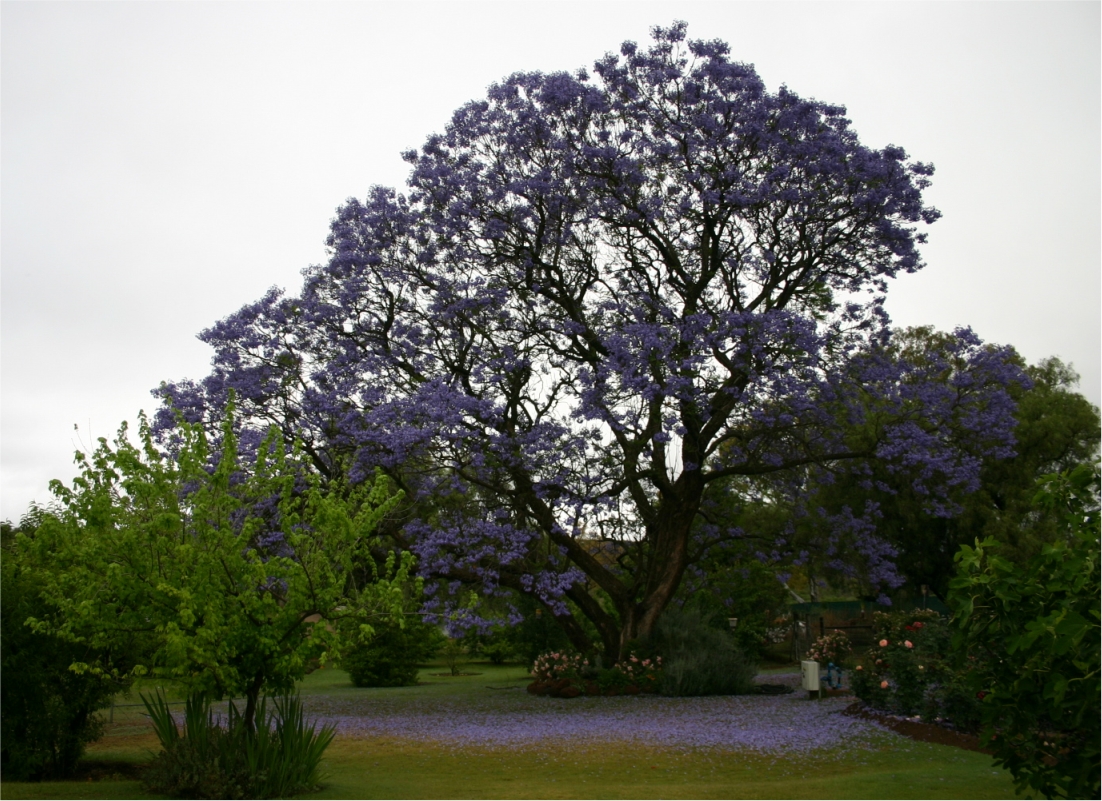 Glengarry Game Lodge Home